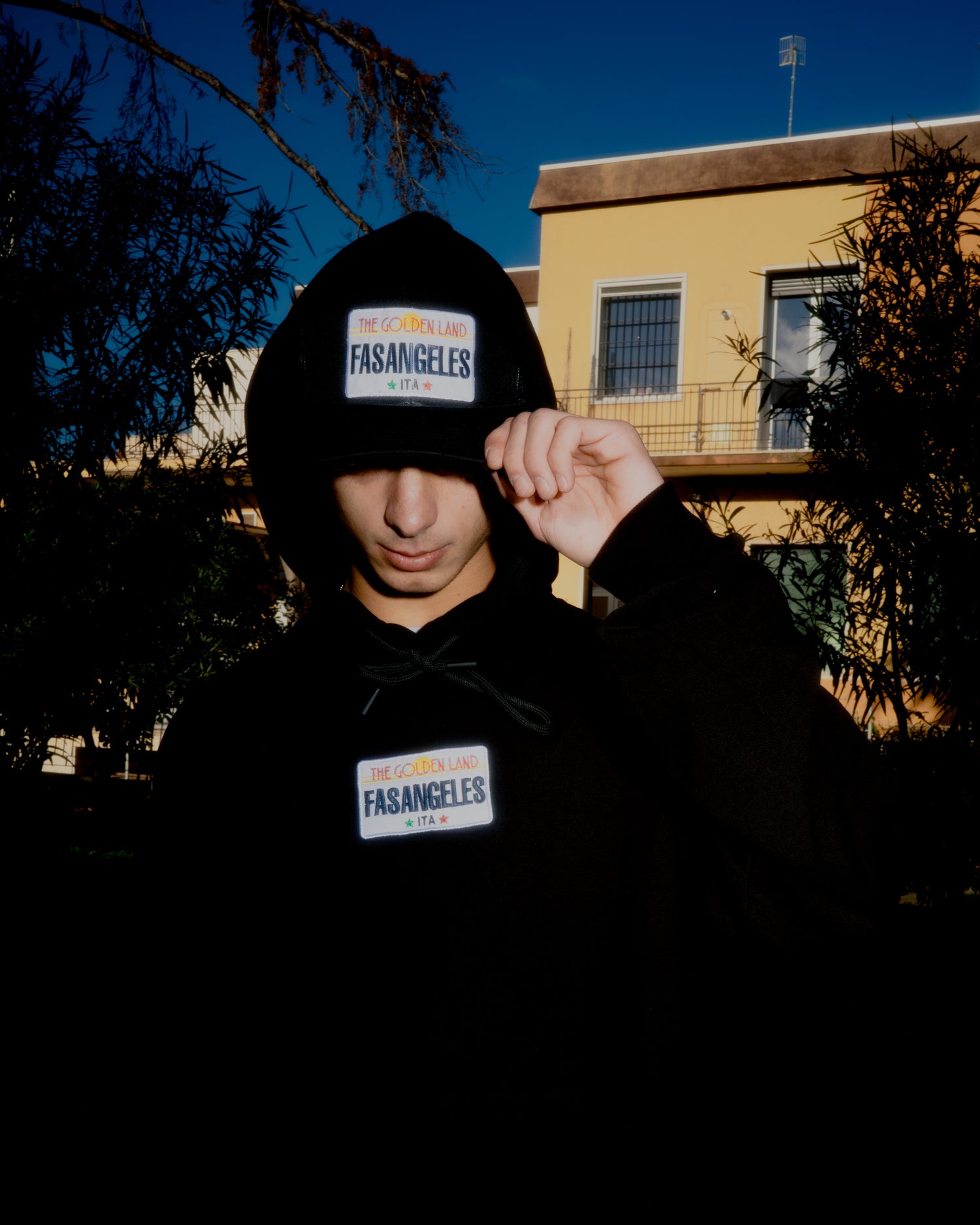 “The Golden Land” Hoodie